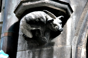 [picture: Stone pig]