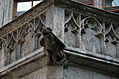 [Picture: Gargoyle 3]
