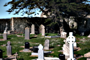 [picture: Graveyard 2]