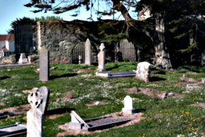[picture: Graveyard 3]