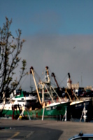 [picture: Boats in the harbour]