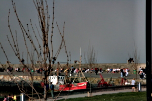 [picture: By the sea 2]