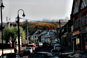 [picture: Howth and Heather 1]