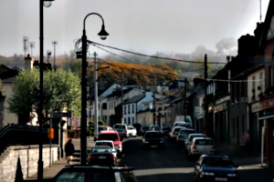 [picture: Howth and Heather 2]