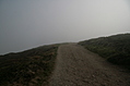 [Picture: Path through the mist 5]