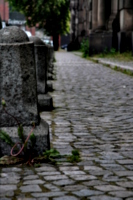 [picture: Bollards and Cobbles 3]