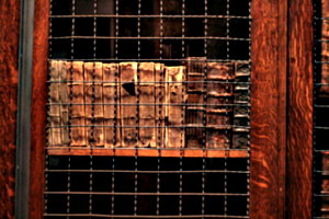 [picture: img_3014]