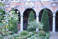 [Picture: Autumn Rose]
