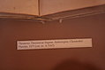 [Picture: img_3002]