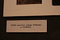 [Picture: img_3075]