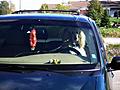 [Picture: Poodle Driver]