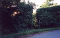 [Picture: Gate in the Hedge]