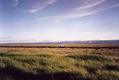 [Picture: River Dee]