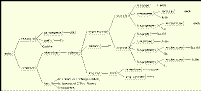 graphical representation of etymology and definition (thumbnail)