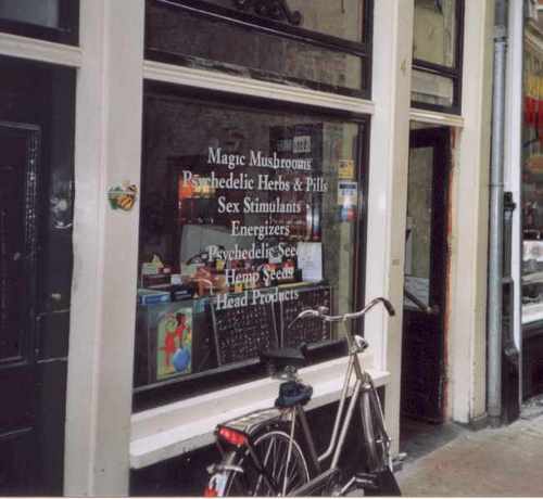 [Picture: magic mushroom shop]