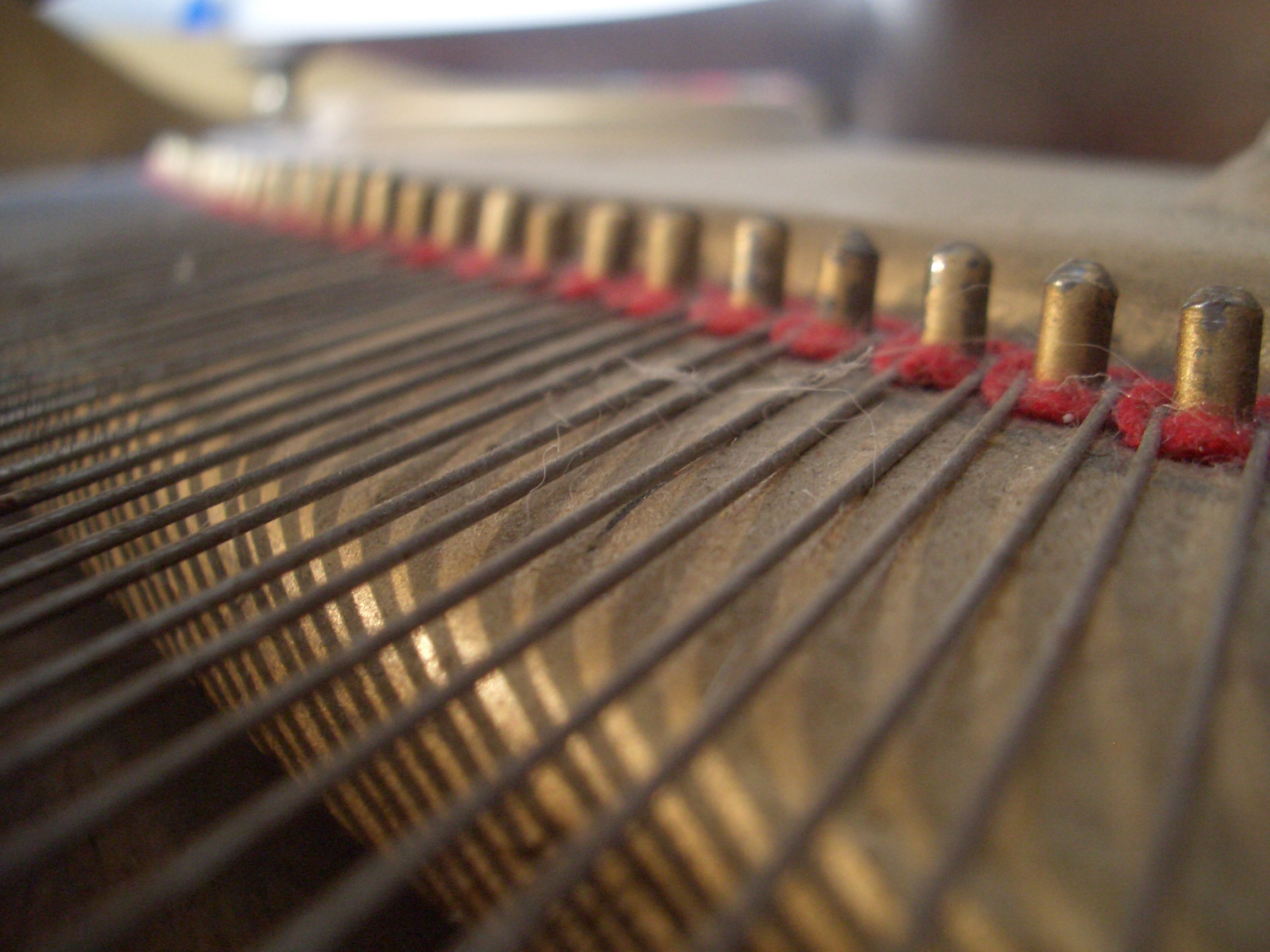 [Picture: Piano wire pins]