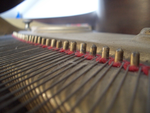 [Picture: Piano wire pins 2]