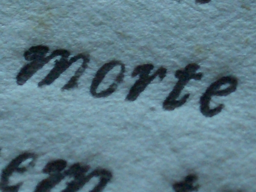 [Picture: Eighteenth Century Text: macro shot 4]