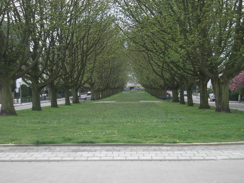 [Picture: Avenue 2]