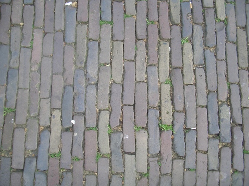 [Picture: Cobbles 1]