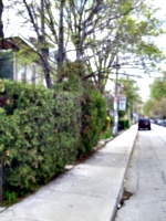 [picture: Major Street, Toronto, 2]