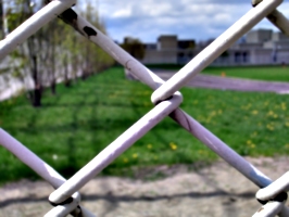 [picture: chain-link fence outside school]