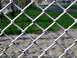[picture: chain-link fence outside school 2]