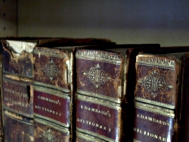 [picture: Old Leather Books: spines]