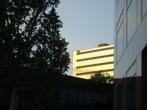 [Picture: Sunset in Downtown San José 2]