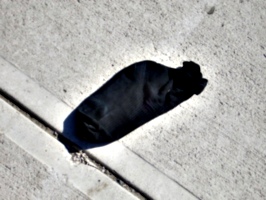 [picture: Abandoned Sock]