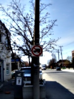 [picture: No Trucks]