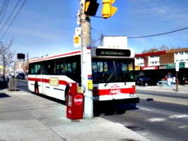 [picture: TTC Bus]