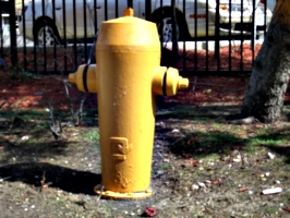 [picture: Fire Hydrant]