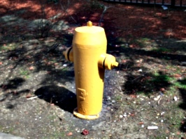 [picture: Fire Hydrant 2]