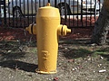 [Picture: Fire Hydrant]