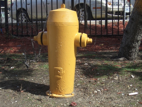 [Picture: Fire Hydrant]