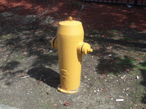 [Picture: Fire Hydrant 2]