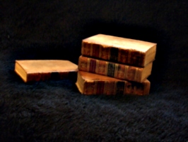 [picture: Pile of Old Books]