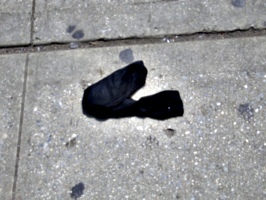 [picture: Abandoned sock]