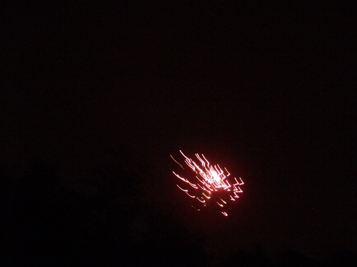 [Picture: Fireworks 2]