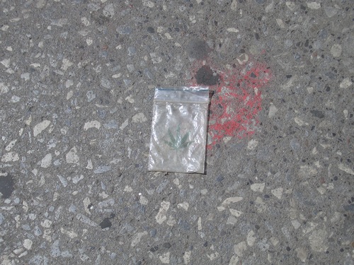 [Picture: Abandoned cannibis packet]
