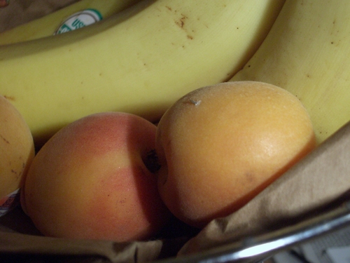 [Picture: Fruit basket 3]