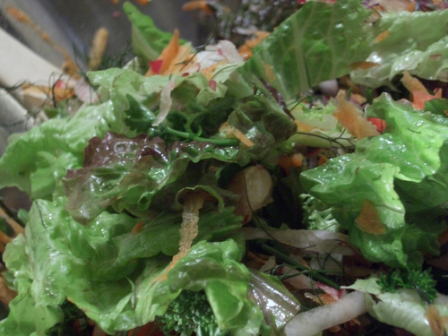 [Picture: Salad Bowl 2]
