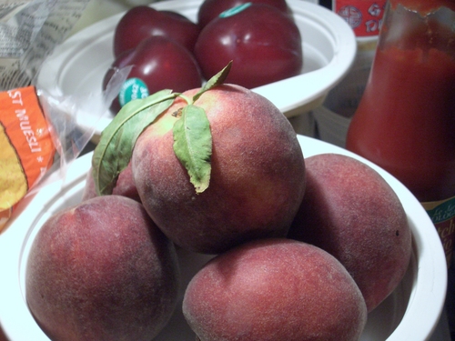 [Picture: Fridge shelf 2]