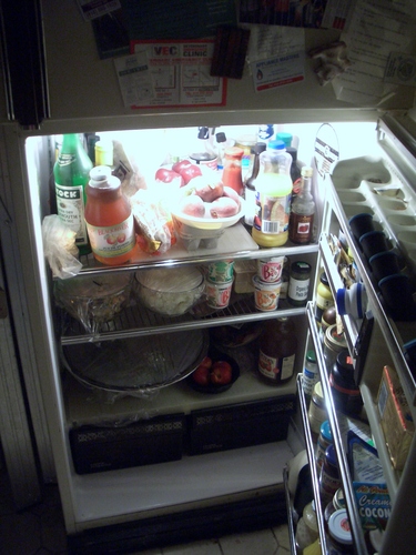 [Picture: Open Fridge]