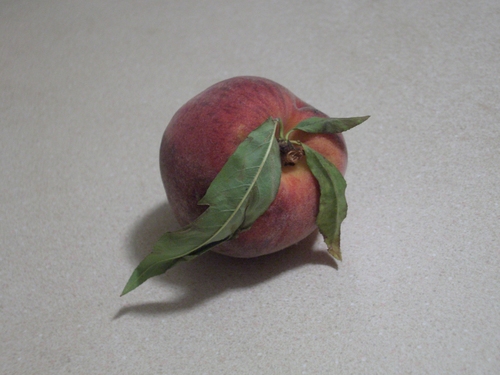 [Picture: Peach]