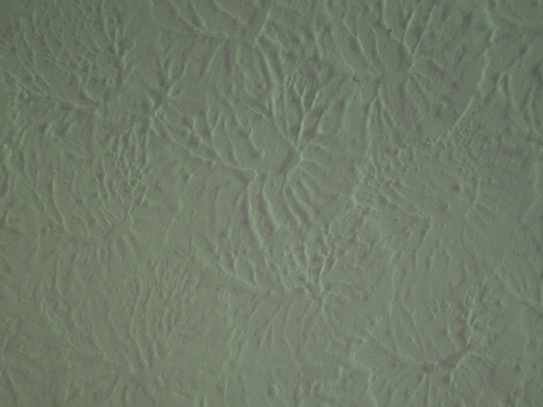 [Picture: texture: plaster ceiling]