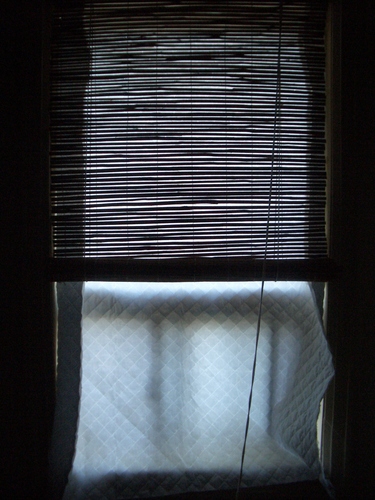 [Picture: Window Blinds]