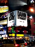 [picture: So Gay.  Damn Straight.]