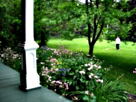 [picture: Flowers off the Porch]